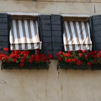 img_83832-200x200 Galeria de ferestre Windows Astalavista