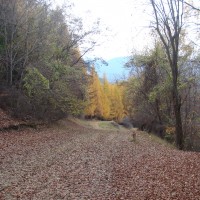 dsc02476-200x200 Breaza - Talea by bike