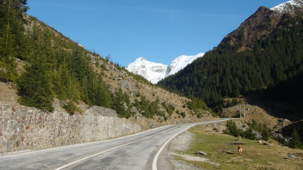 dsc02575