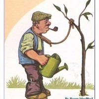 21-200x200 Caricaturi